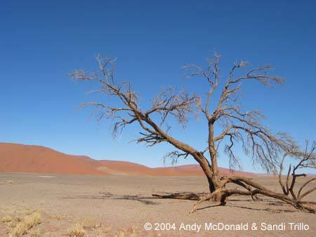 Sossusvlei Sossusvlei